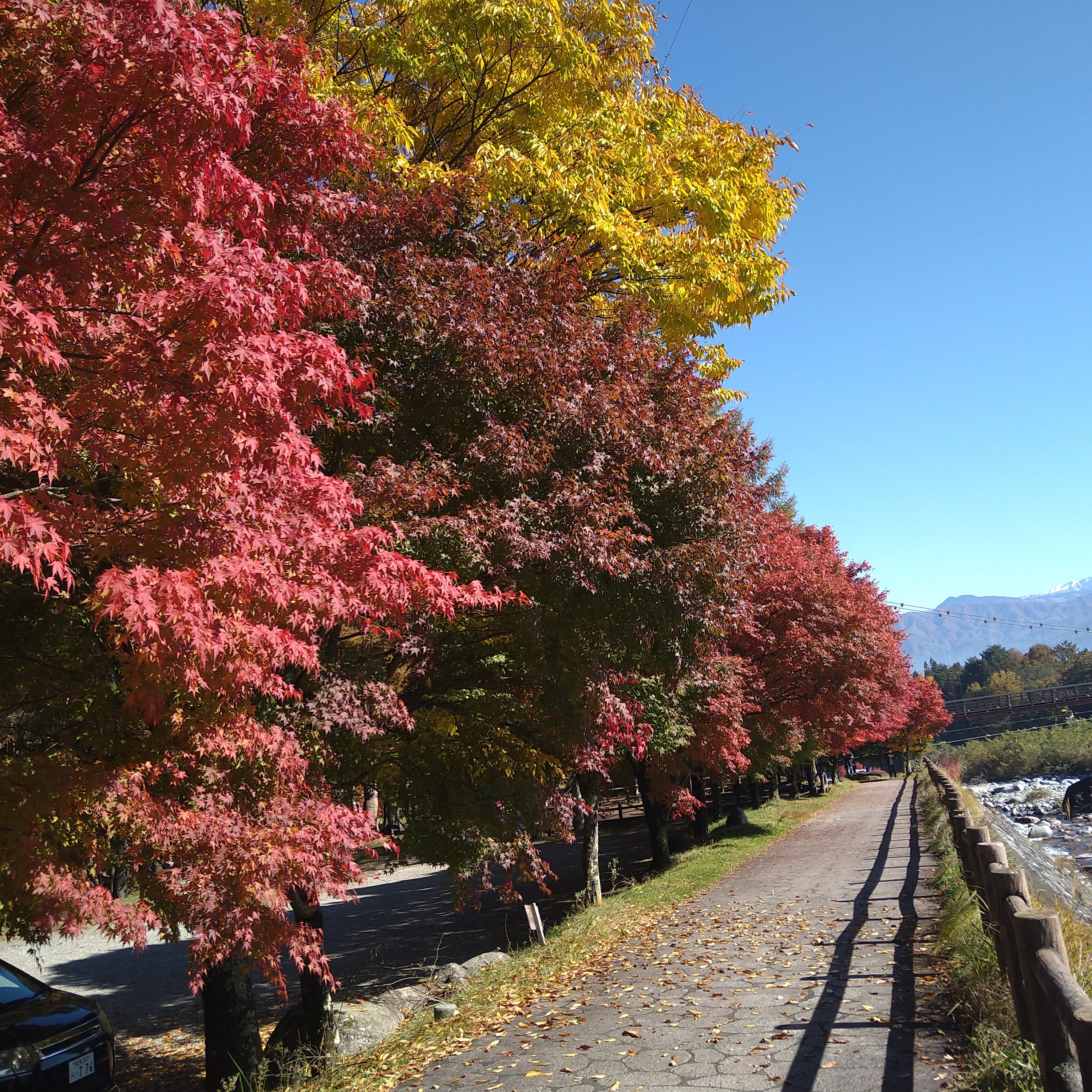 紅葉情報一覧 中央アルプス 駒ヶ岳ロープウェイ